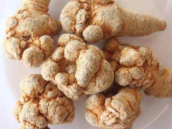 田七炖鸡的功效与作用禁忌有哪些,田七人参煲鸡功效与禁忌是什么