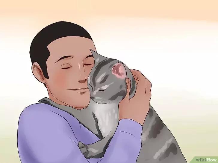 领养的新猫到家后的正确流程,怎么把新猫带回家