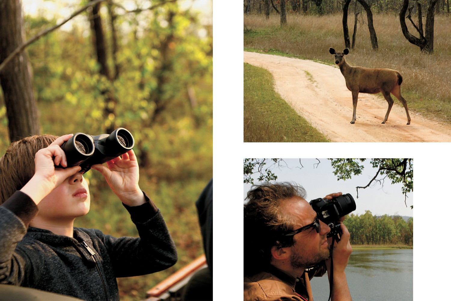 150年后，再次追寻「森林王子」的足迹