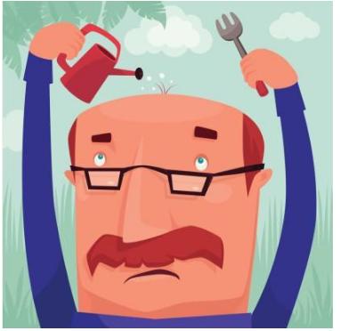 毛发移植的价格贵不贵呀,毛发移植贵不贵