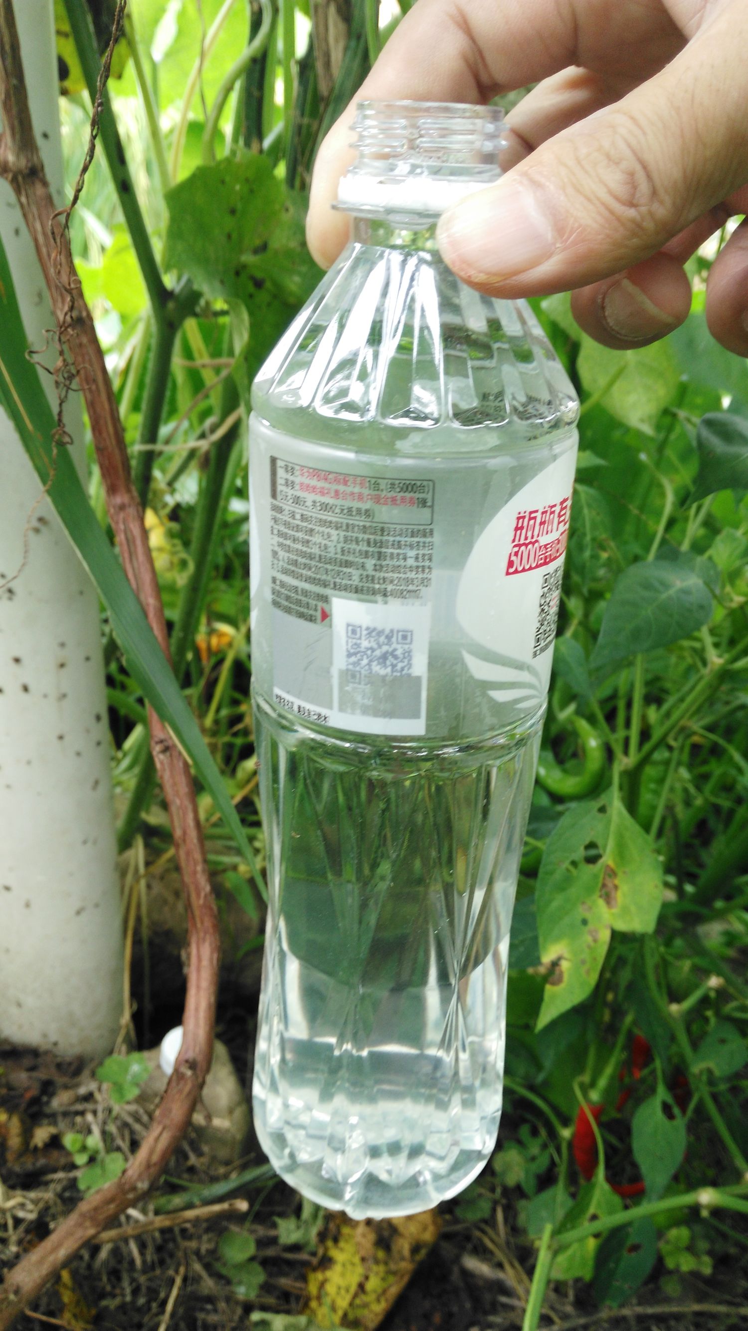 丝瓜汤治咽炎的偏方,丝瓜水治慢性咽炎一天喝几次