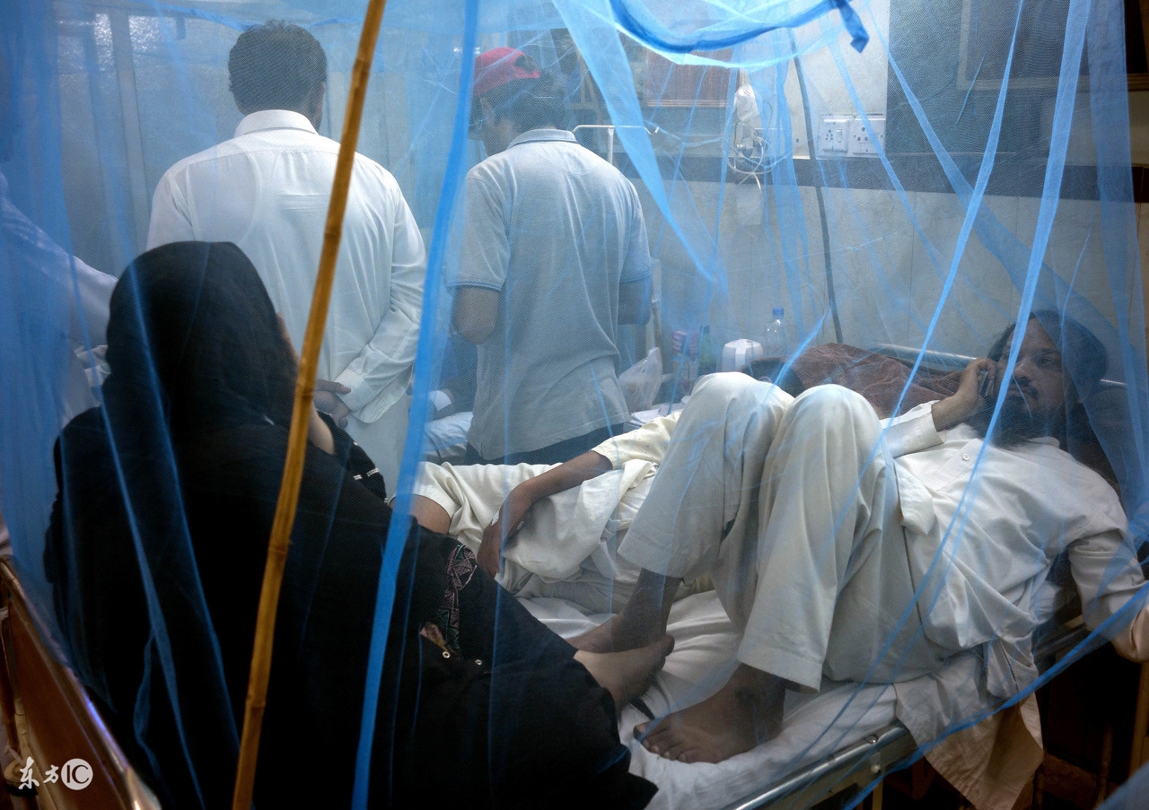 登革热引发恐慌,请收好这份登革热科普知识