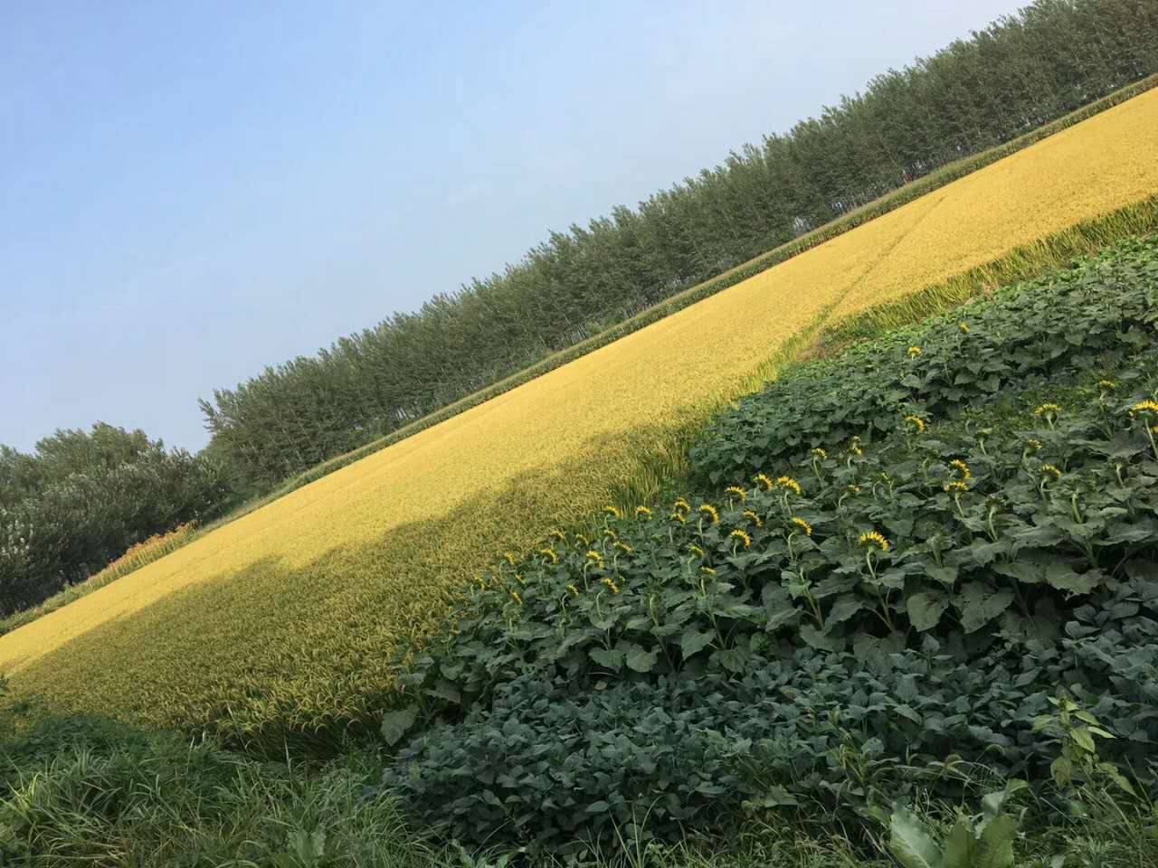 本溪沈阳304国道,沈阳浑南304国道