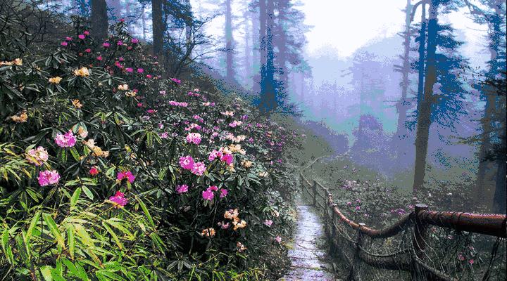 带你体验不一样的异国风情柬埔寨,去柬埔寨探寻神秘而又独特的美