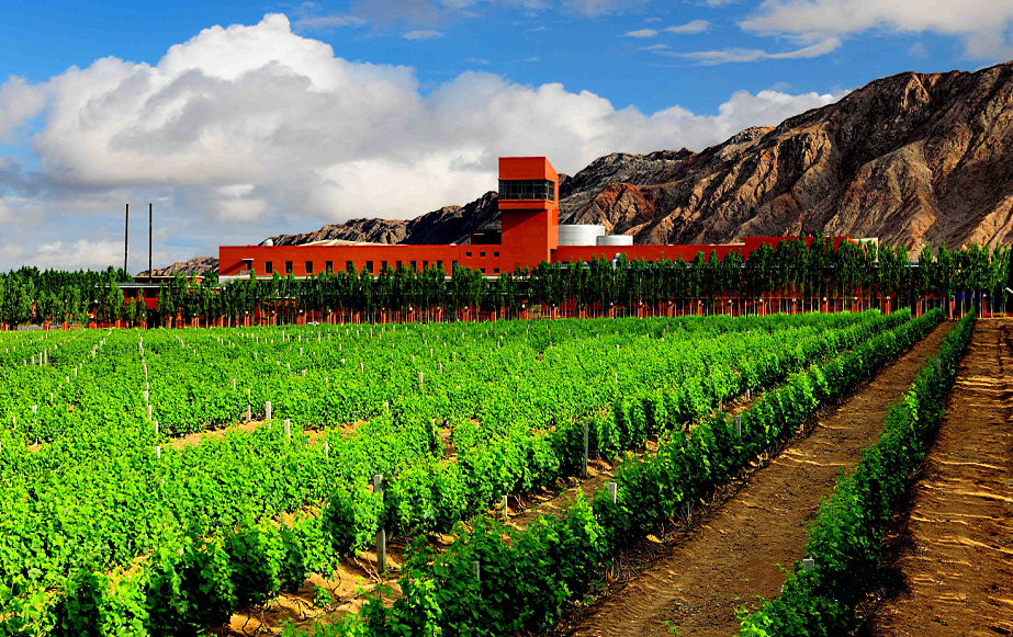 在中国建私人庄园合法吗,中国建一个葡萄酒庄园
