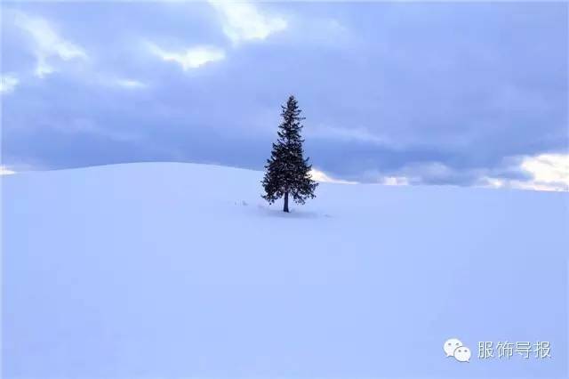 美翻天气质穿搭,夏季旅行穿搭日记