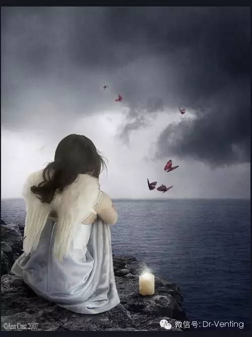 马航mh370最终报告结果,马航370上的2吨货物