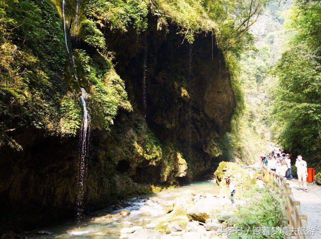 重庆最美黑山谷景区,重庆万盛黑山谷旅游如何