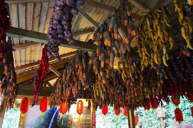 重庆最美黑山谷景区,重庆万盛黑山谷旅游如何