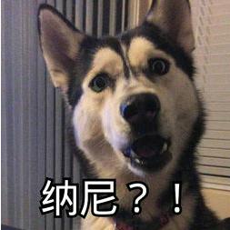 nars十大必买化妆品,nars美国便宜