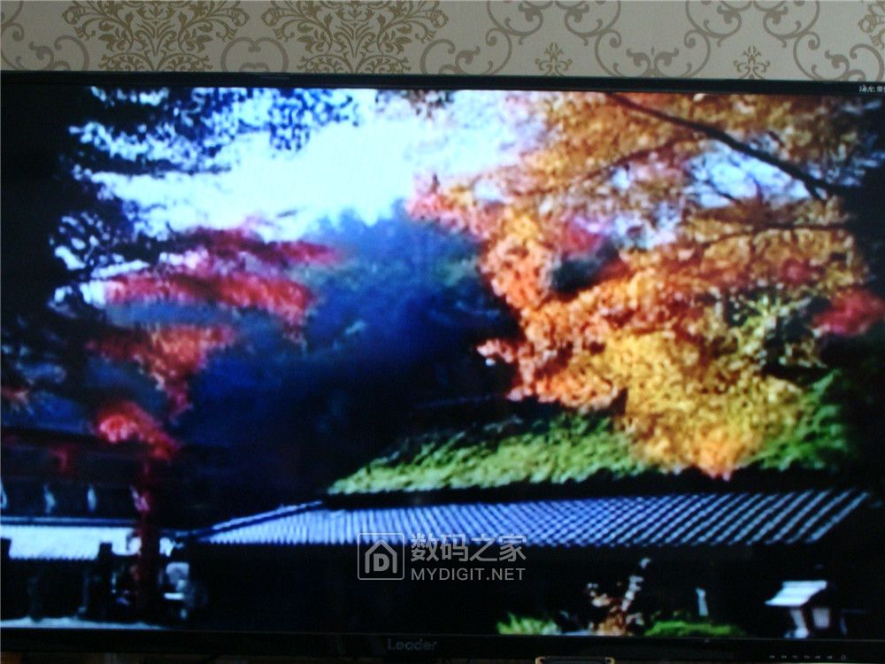 奇声vcd影碟机2008,奇声VCD影碟机