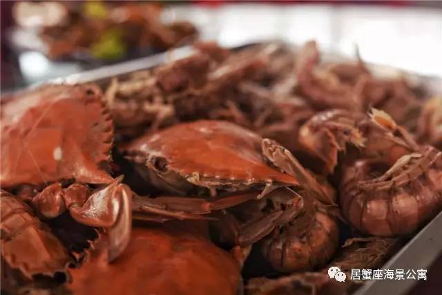 攻略|老渔民亲传“扒虾秘籍”,皮皮虾我们走!