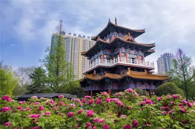 重大发现纯音乐,重大发现歌曲