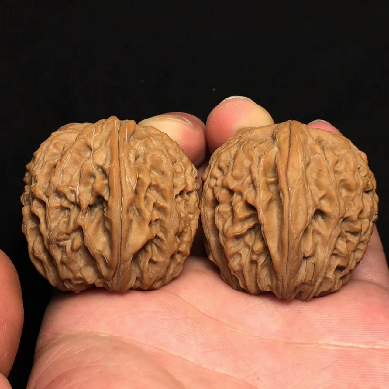 文玩核桃的魅力究竟在哪儿,文玩核桃为什么值钱