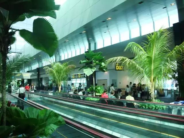 日本机场买什么最便宜,国内机场买东西划算吗