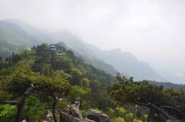 老爷子陪老伴穷游,带着老伴穷游