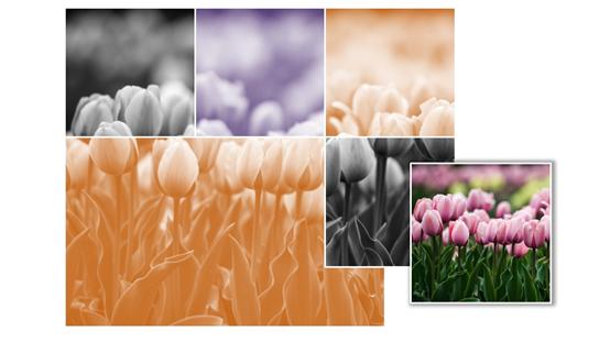 ppt特色背景墙效果图,ppt卡通照片墙排版布局