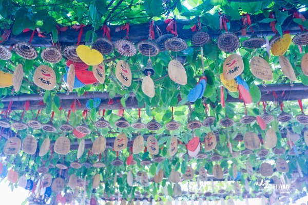 历史底蕴与现代繁华在此交融,历史与现代并存的城市