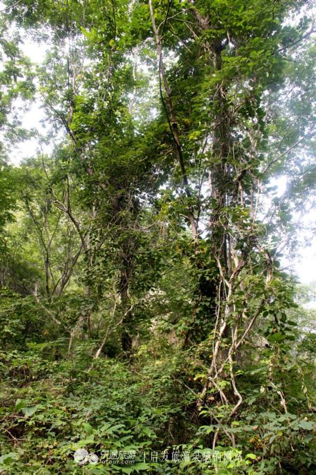 水秀山青下一句,农庄山清水秀的好地方
