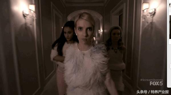 东北人买貂,东北人为什么喜欢买貂