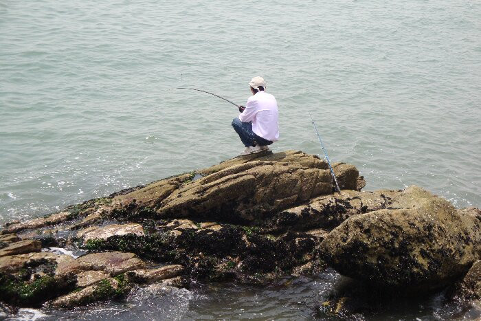 日照海捕海鲜有哪些,日照赶海后抓到的海鲜去哪儿吃