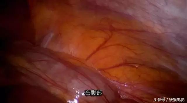 最震撼的纪录片bbc人体的奥秘,人体科普纪录片top10