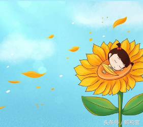 增值税销售额的确定,增值税的销售额怎么确定