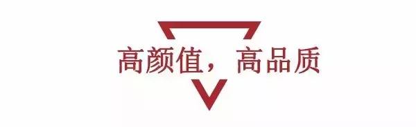 景逸双T,景逸最新款