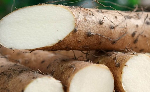 十大养肾粥,冬季10款滋补养生粥补肾益肝