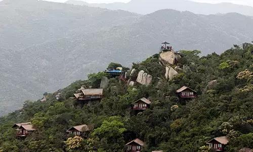 懒人的福利经济实惠又方便,懒人的福利有哪些