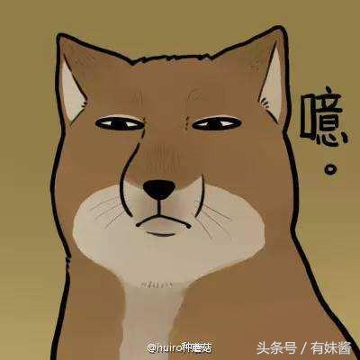 新一代坂本大佬,坂本大佬合集解析