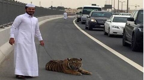 多哈卡塔尔中国足球,读懂城市系列