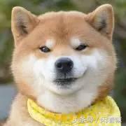 世界上稀奇古怪的网站,全球有什么有趣的网站