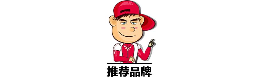 汽油添加剂怎么推荐,如何选择汽油的方法