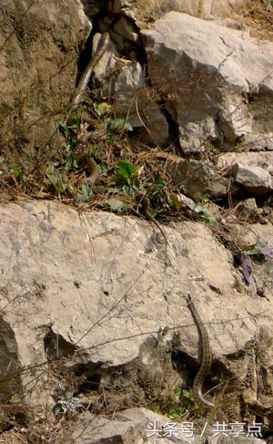 南太行！万仙山、王莽岭、九莲山走一圈、体验穿越快感