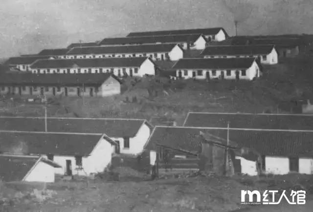 在株洲，有一种青春叫田心！