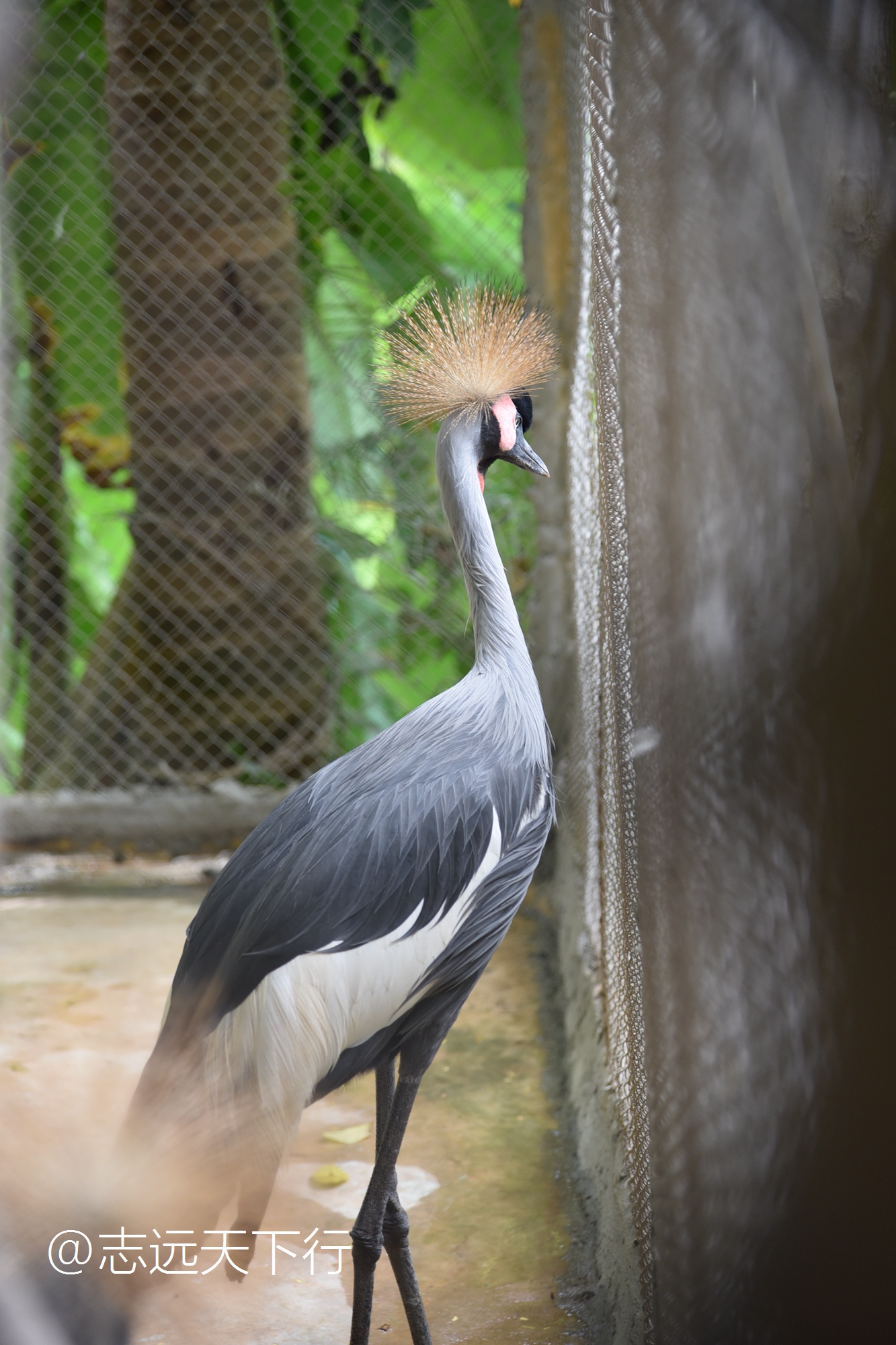 三亚最值得小朋友去的地方,三亚美景小孩最喜欢玩的地方