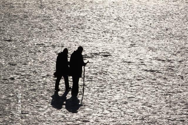 老人的养老金从哪儿来,老年人养老金从哪来