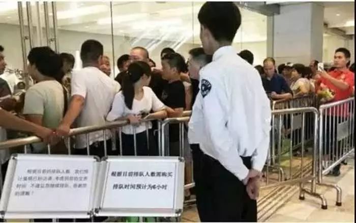 为什么ladym蛋糕这么贵,ladym蛋糕为什么推出国内