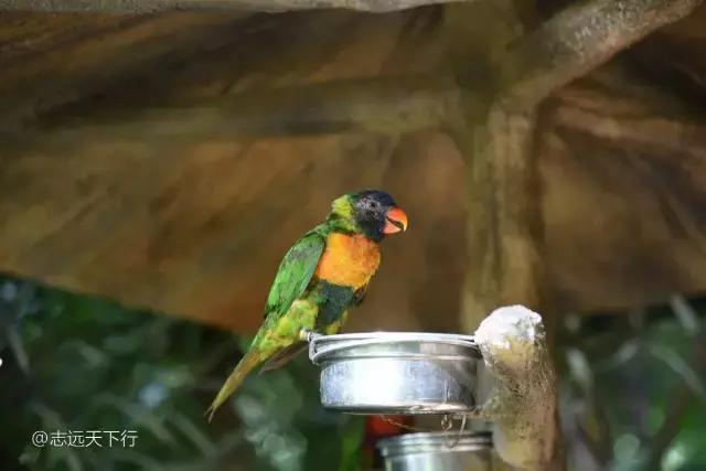 三亚最值得小朋友去的地方,三亚美景小孩最喜欢玩的地方