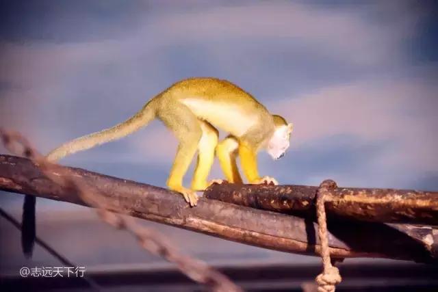 三亚最值得小朋友去的地方,三亚美景小孩最喜欢玩的地方