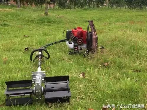 三农日报农产品,三农日报关于农产品