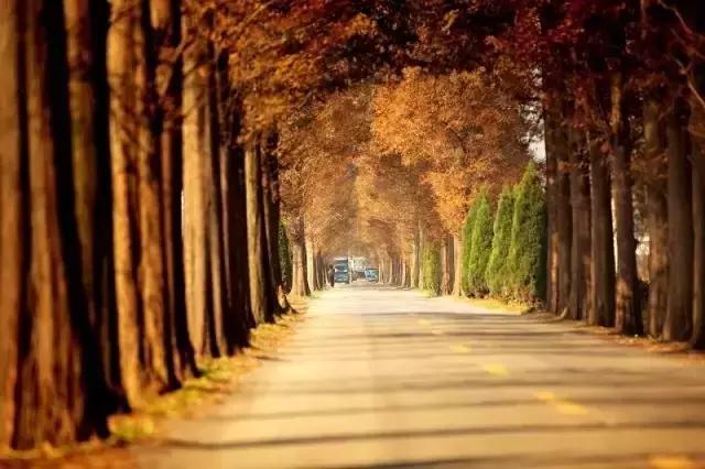 深山原始村落自驾游,大山深处古老村落自驾游