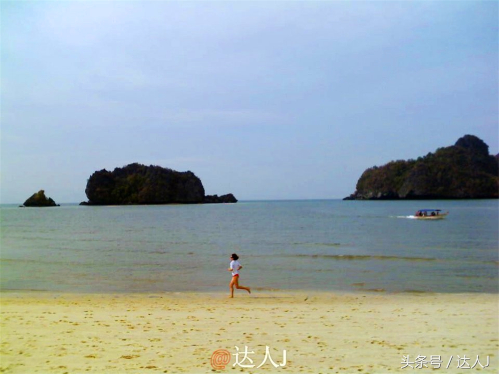 达人J:新马声色任逍遥