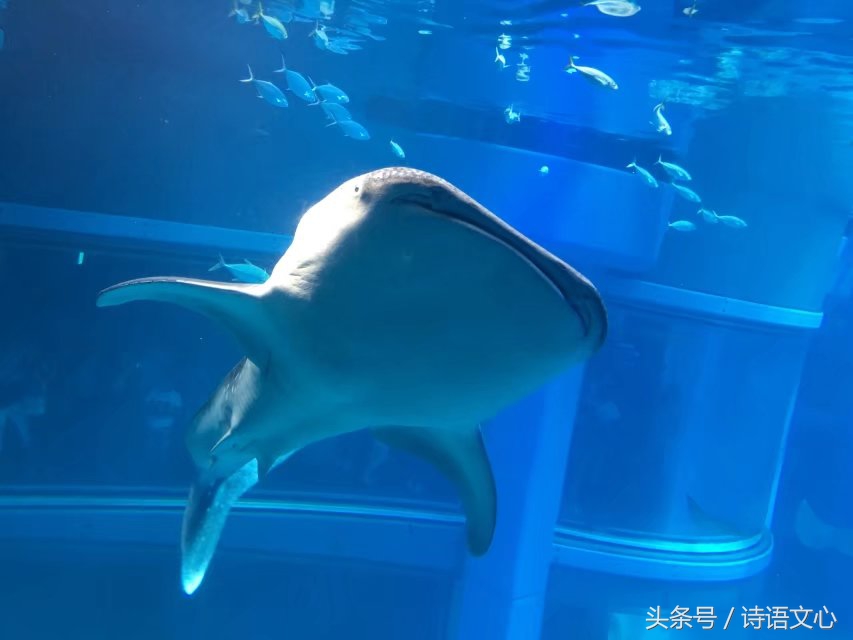 暑假带娃去部队看亲人,带娃去拉练