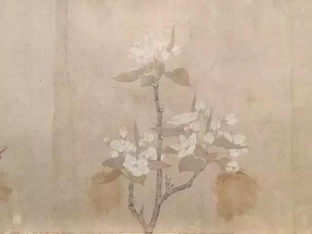 故宫武英殿赵孟頫书画特展,北京故宫有展赵孟頫画吗