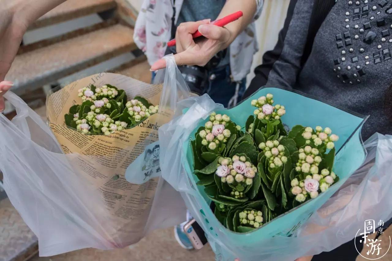南京夫子庙花鸟鱼虫市场,南京花鸟鱼虫市场