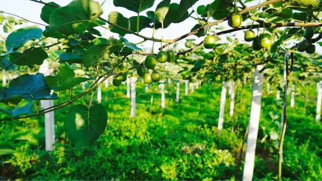 因为一句话恋上一座城,因为一个人恋上一座城