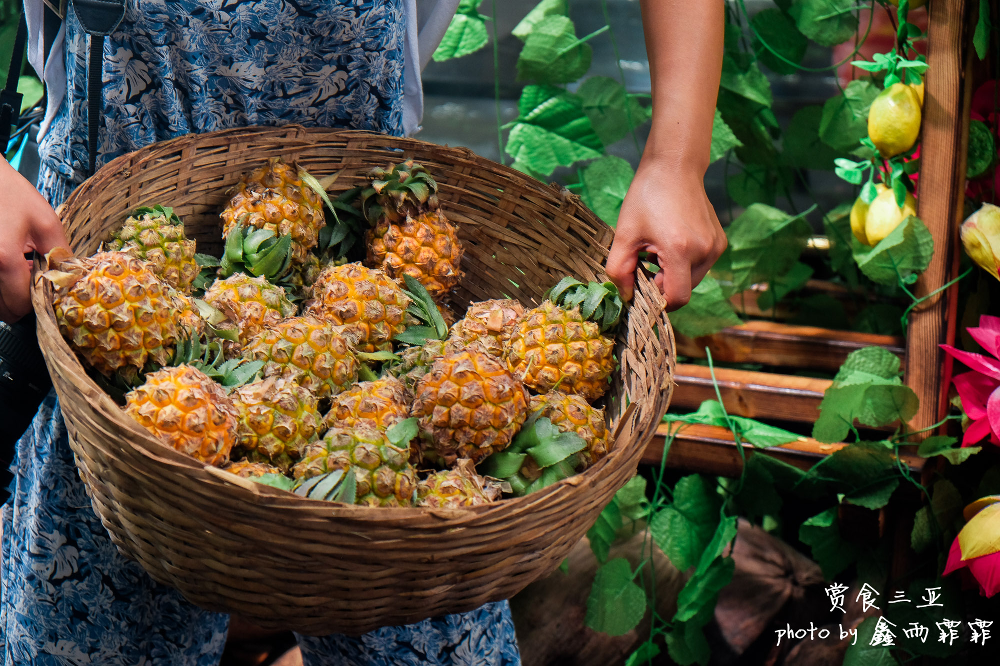 尝遍海南水果,尝遍一年四季水果