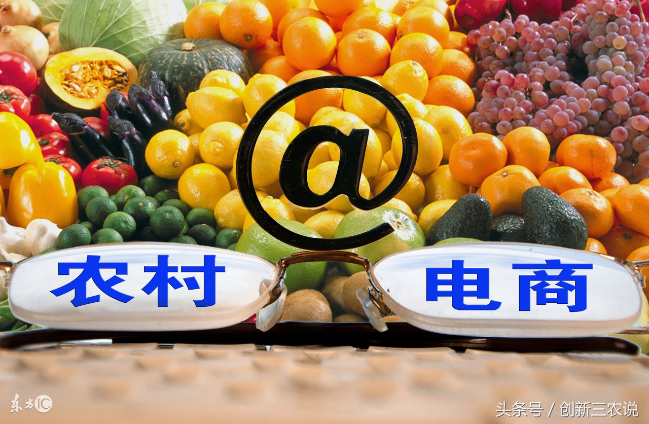 三农种植业的发展前景,未来三农该如何发展